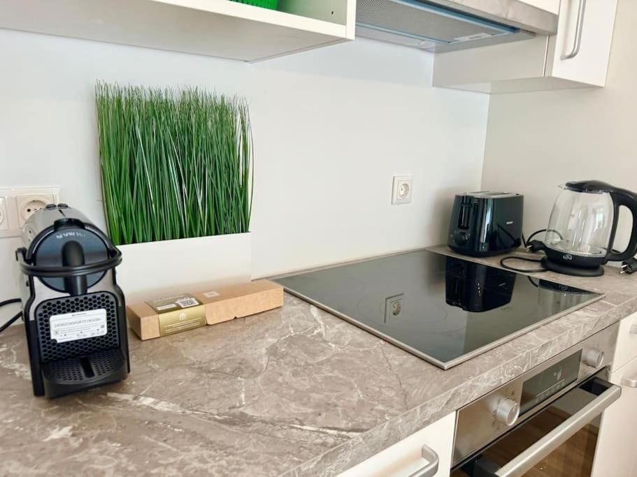 Rooftop Apartment With Balcony & Free Parking เวียนนา ภายนอก รูปภาพ